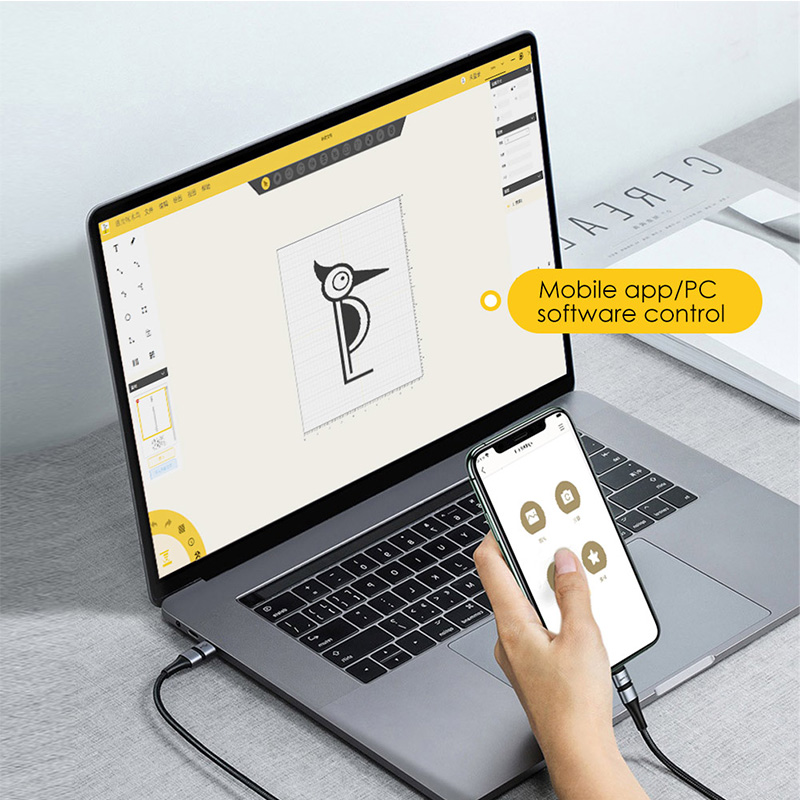 LASERPECKER Incisore laser por - Diy Automation recensione e prezzo