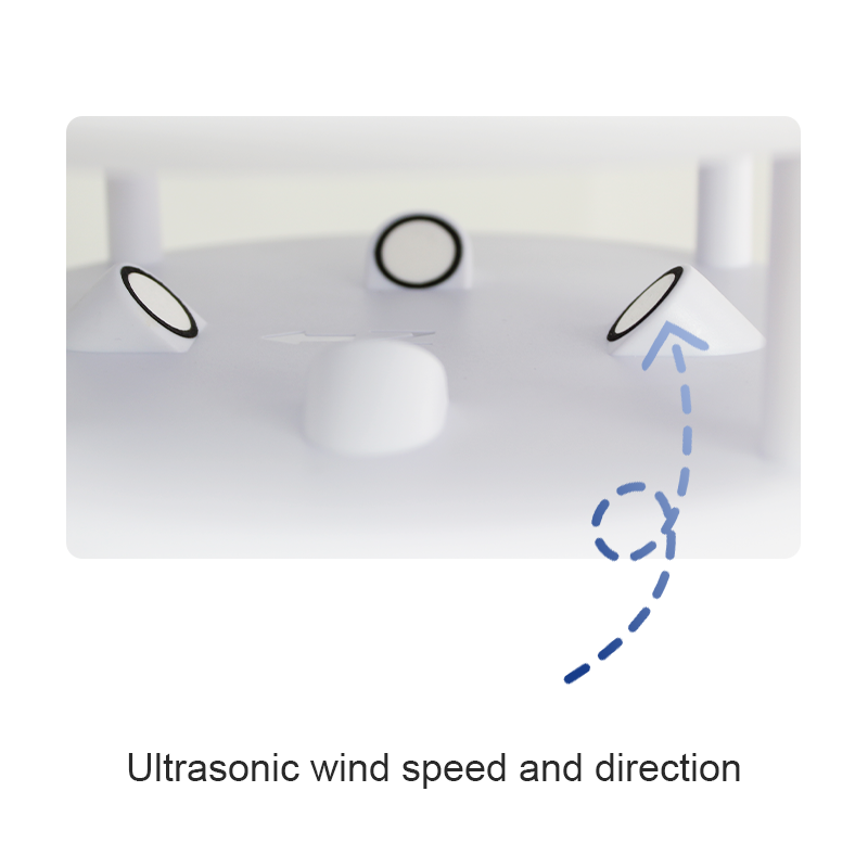 & Sensore di umidità Stazione  - Temperature Humidity Sensor recensione e prezzo